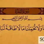 حكم التجارة الإلكترونية في الإسلام (دليل شامل ومختصر مع أهم الأسئلة الشائعة)