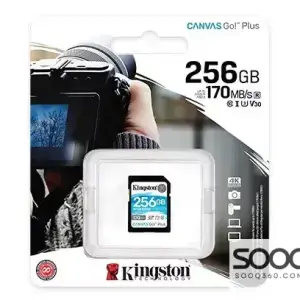 Kingston Canvas Go! Plus 256GB SDG3 Memory Card