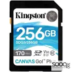 Kingston Canvas Go! Plus 256GB SDG3 Memory Card