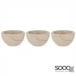 EMERSON CHAMPAGNE 3PK MINI PINCH BOWL
