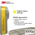 Double gas protection mask, N95 chemical respirator mask