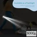 Dog bark deterrent with training and flashlight