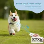 Dog bark deterrent with training and flashlight