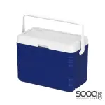 Cosmoplast Ice Box 30 Liters