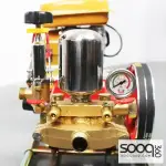 Gasoline agricultural sprayer from Robin Power