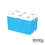 Cosmoplast Ice Box 46 Liters