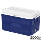 Cosmoplast Ice Box 60 Liters