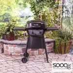 Sharpriol Gas Grill - 2 Burners