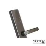 Lenovo E2 Smart Conventional Handle Lock