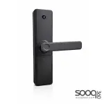 FFL543B Intelligent Electronic Tuya Fingerprint Door Lock