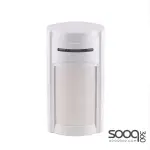 Indoor HX-100 Dual PIR Detector