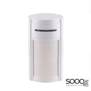 Indoor HX-100 Dual PIR Detector