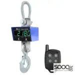Iron Crane Scale With Remote Control