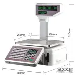 Electronic Barcode Label Printing Scales TM-A20B With Receipt Printer
