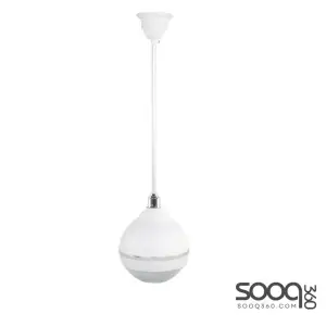Hanging Ball DQ-101 Ceiling speaker -white
