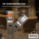 الصوبه العملاقه غاز