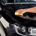 سوناكس اسفنجة بولش+واكس