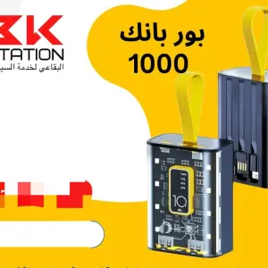 بور بانك متعدد مداخل