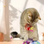 كرة لعبة للقطط Cat ball toy