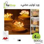 ورد توليب مضيء